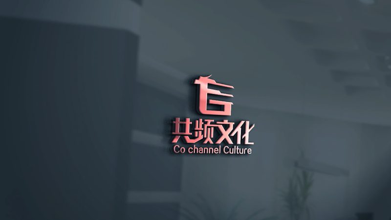 成都服装品牌TVC广告拍摄：揭秘背后的制作流程与策略