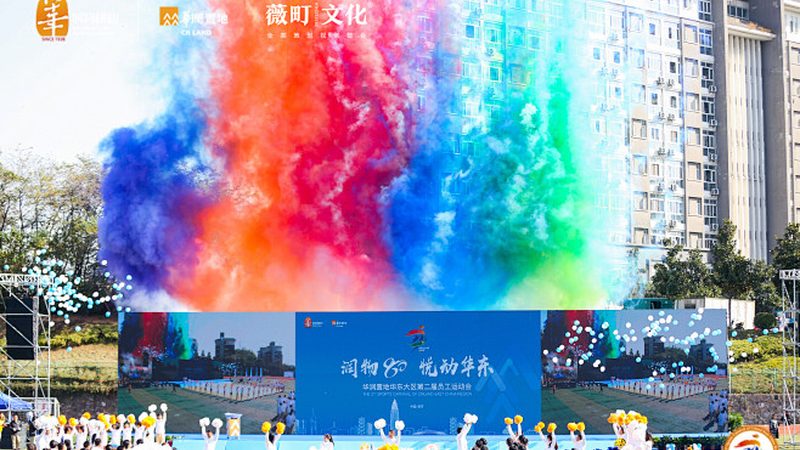 行业背景：内容为王，优质合作伙伴的重要性